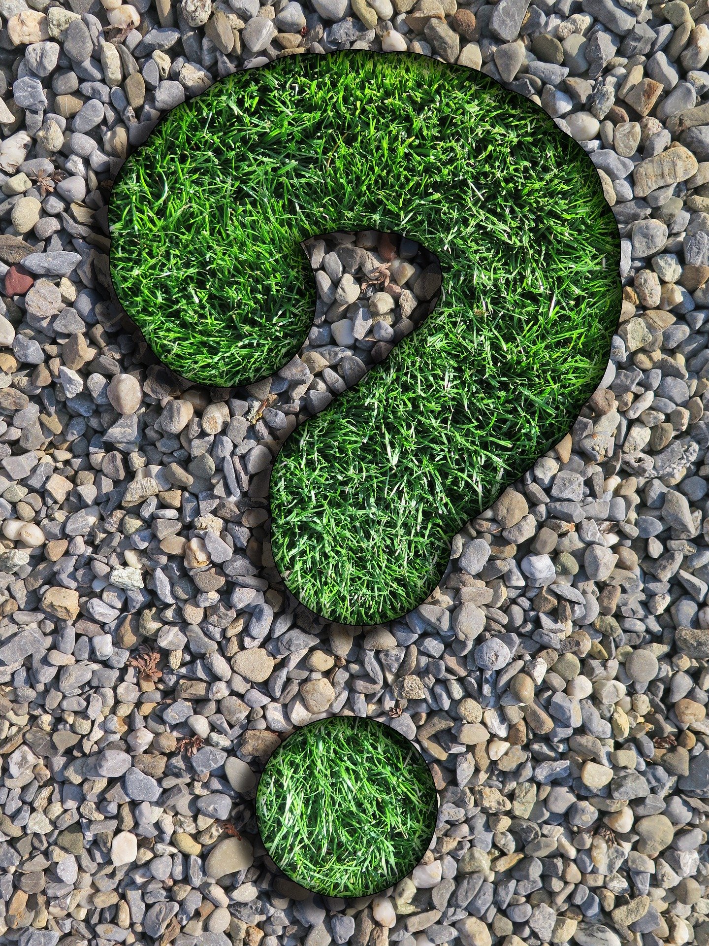 webgras blogbeitrag krawutzi question