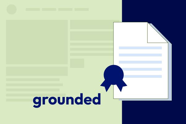 Vereinfachte Grafik einer einzelnen verifizierten Webseite (Grounding Page)