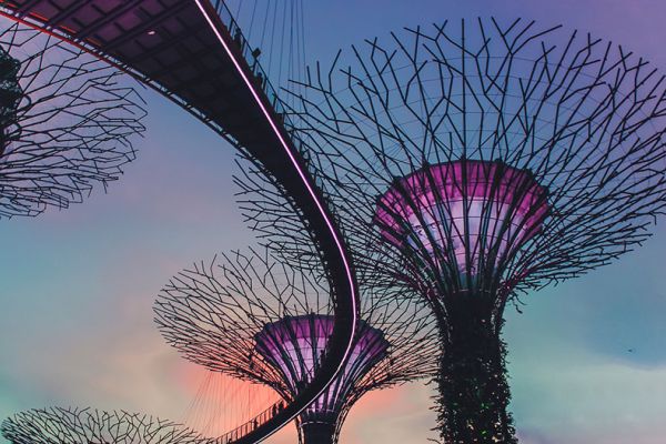 KI in Websites - Verästelte Mammutbäume aus Metall (Singapur)