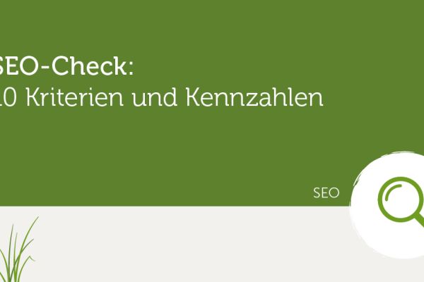 Grafik mit Lupe zu SEO Check Kennzahlen