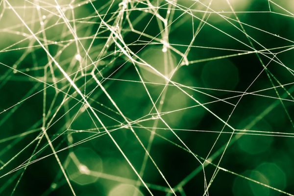 Spinnennetz als Synonym für was ist crawling