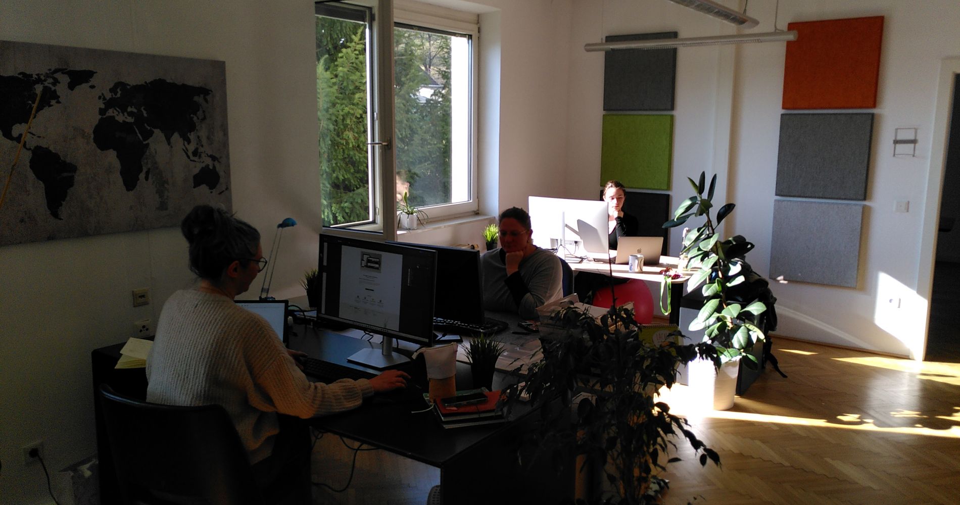 Das webgras Team arbeitet im Büro